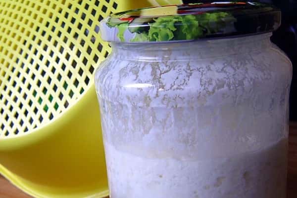 Temas de nutrición: ¿Es el kéfir mejor que el yogur para nuestra salud intestinal?